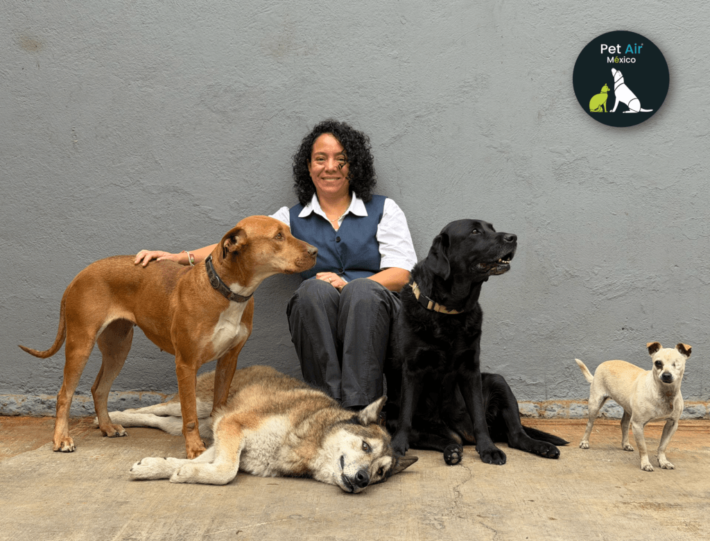Melissa Vásquez of Pet Air México with four dogs.